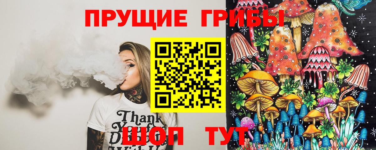 купить   Вход с VPN  Омск  Псилоцибиновые грибы GOLDEN TEACHER 